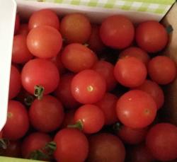 Mühls mini tomate Mühls mini tomate
