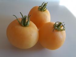 Tomate Garden Peach