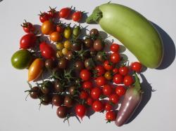 Tomaten Mix Tomaten Mix