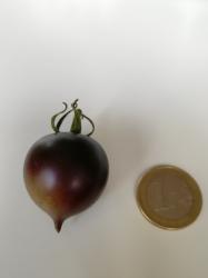 Tomate Belle Coeur Tomate Belle Coeur