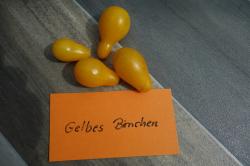 Tomate Gelbes Birnchen Tomate Gelbes Birnchen