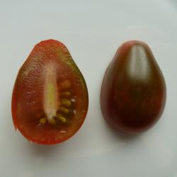 Tomate »Chocolate Pear« Tomate »Chocolate Pear«