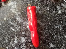 Paprika Ramiro Paprika Ramiro
