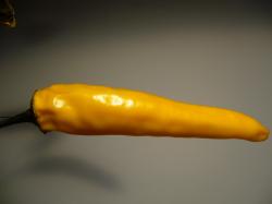 Chili Amarillo Chili Amarillo