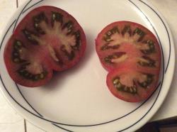 Tomate „Schwarzer Prinz“ Tomate „Schwarzer Prinz“
