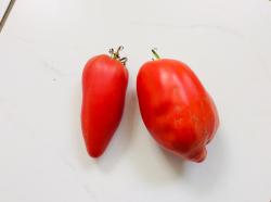 Tomate „ Howard German „ Tomate „ Howard German „