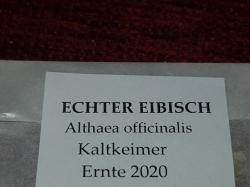 Echter Eibisch - Arznei-Eibisch Echter Eibisch - Arznei-Eibisch