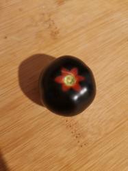 Tomate Blue Tomate Blue