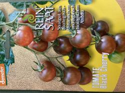Tomate Black Cherry Tomate Black Cherry