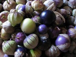 Tomatillo Tomatillo