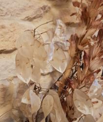 Silberblatt, Silbertaler Silberblatt, Silbertaler