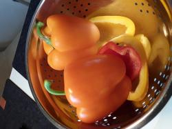 Blockpaprika gelb orange Blockpaprika gelb orange