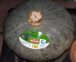 Kürbis Sombra Kürbis Sombra