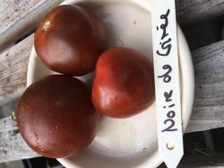 10 Samen Black Krim 10 Samen Black Krim