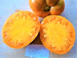 Tomaten Tomaten