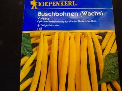Buschbohne Voletta Buschbohne Voletta