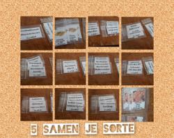 5 Tomatentütchen a 5 Samen 5 Tomatentütchen a 5 Samen