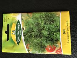 Dill Samen Dill Samen