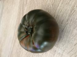 Marmande Tomate Marmande Tomate