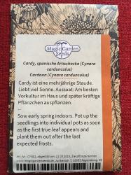 Cardy, spanische Artischocke Cardy, spanische Artischocke