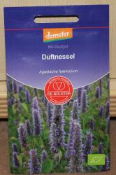 Duftnessel, Anis Ysop Duftnessel, Anis Ysop
