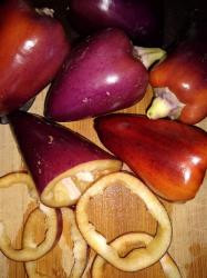 Paprika Oda Paprika Oda