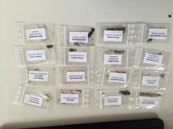 12 Sorten Gewürze/Kräuter 12 Sorten Gewürze/Kräuter