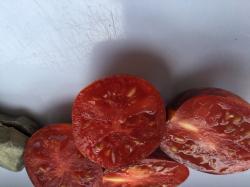 Anthocyan+farbige Tomaten Anthocyan+farbige Tomaten