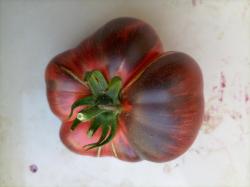 Blue Beauty Tomate Blue Beauty Tomate