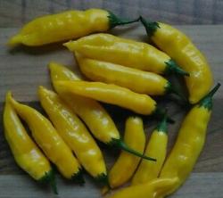 Lemon drop chili samen Lemon drop chili samen