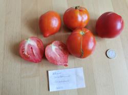 Tomate Kleine Herztomate Tomate Kleine Herztomate