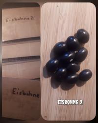 Eisbohne 2 Buschbohne Eisbohne 2 Buschbohne