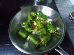 Pimientos de Padron Pimientos de Padron