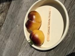 10 Tomatensamen Great White Purple 10 Tomatensamen Great White Purple
