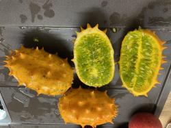 Kiwano Samen 10 Stück Kiwano Samen 10 Stück