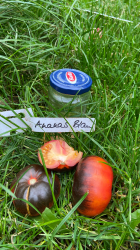 Tomate Ananas Blau Tomate Ananas Blau
