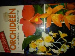 Orchideen in Haus und Garten-Arten, Aufzucht, Pflege