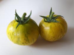 Tomate Yellow Wax Tomate Yellow Wax