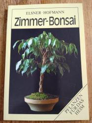 Zimmerbonsai Zimmerbonsai