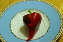 Chili Piment d Espelette Chili Piment d Espelette