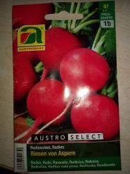 Riesen von Aspern Riesen von Aspern