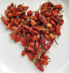 Chili "Lila Luzi" Chili "Lila Luzi"