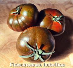 Tomatensamen Tomatensamen