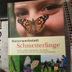 Buch Naturwerkstatt Schmetterlinge Buch Naturwerkstatt Schmetterlinge