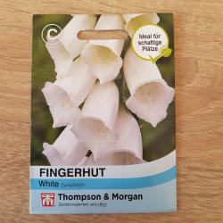 Weisser Fingerhut Weisser Fingerhut