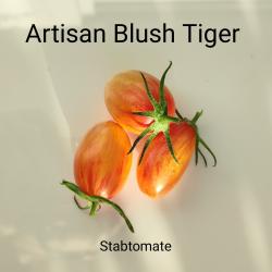 Tomaten Artisan Blush Tiger Tomaten Artisan Blush Tiger