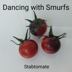 Tomaten Dancing with Smurfs