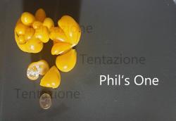 Tomate Phil's One Tomate Phil's One