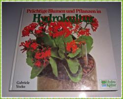 Prächtige Blumen und Pflanzen in HYDROKULTUR Prächtige Blumen und Pflanzen in HYDROKULTUR