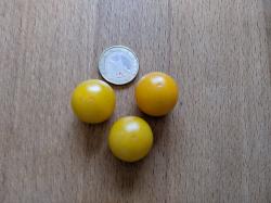 Wild-Tomatensamen Banca Wild-Tomatensamen Banca